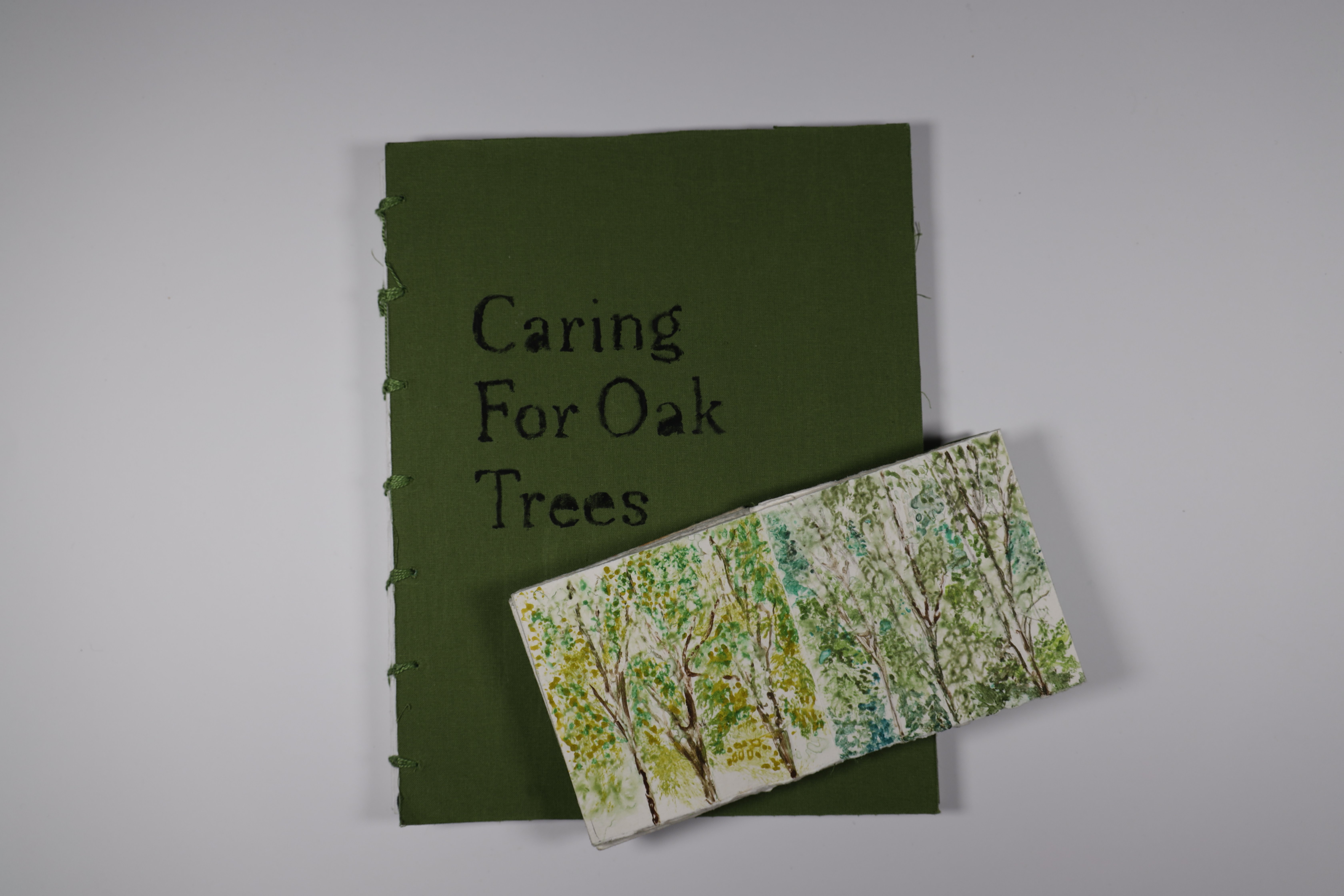 Oak Trees Companion Book