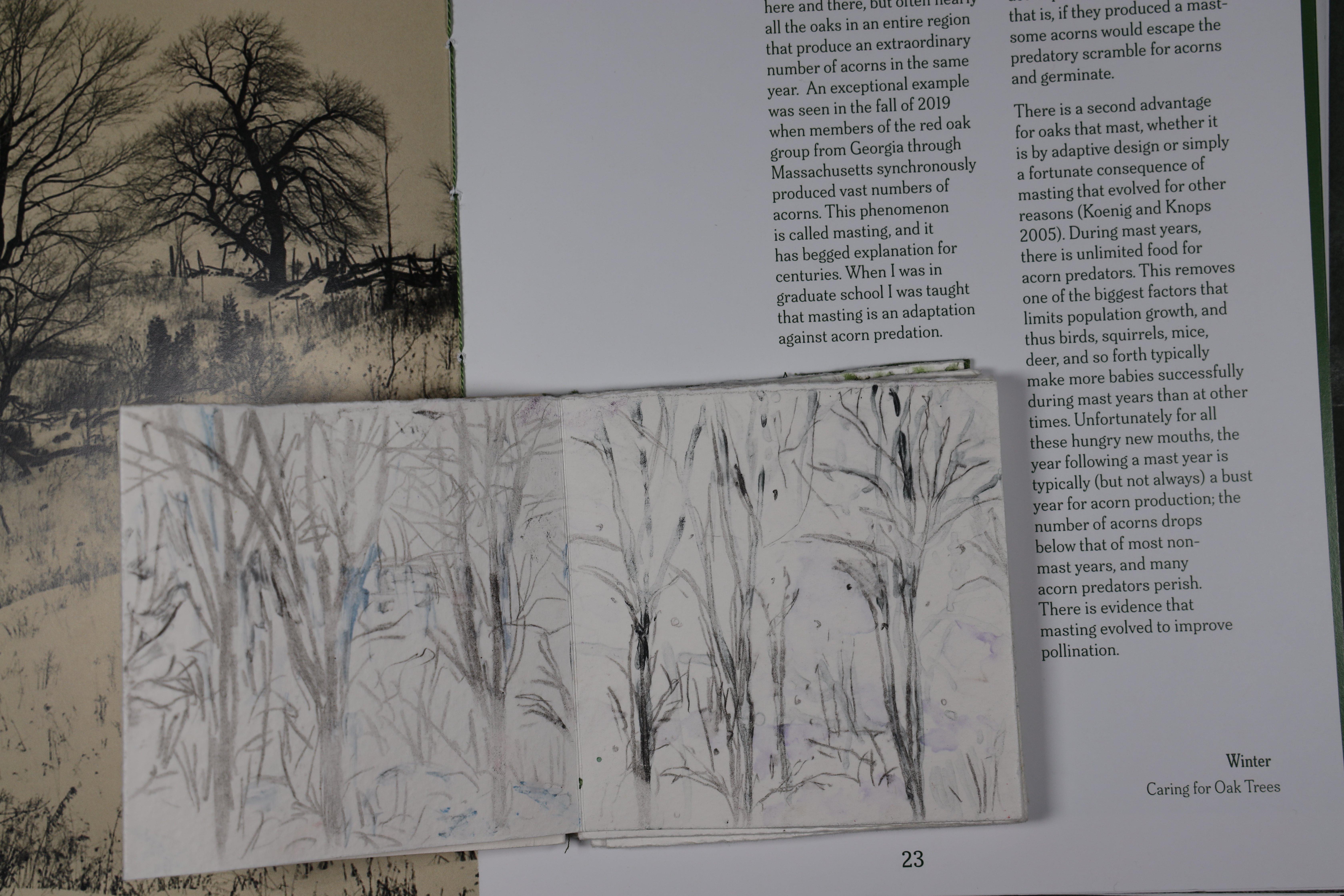 Winter monoprints open