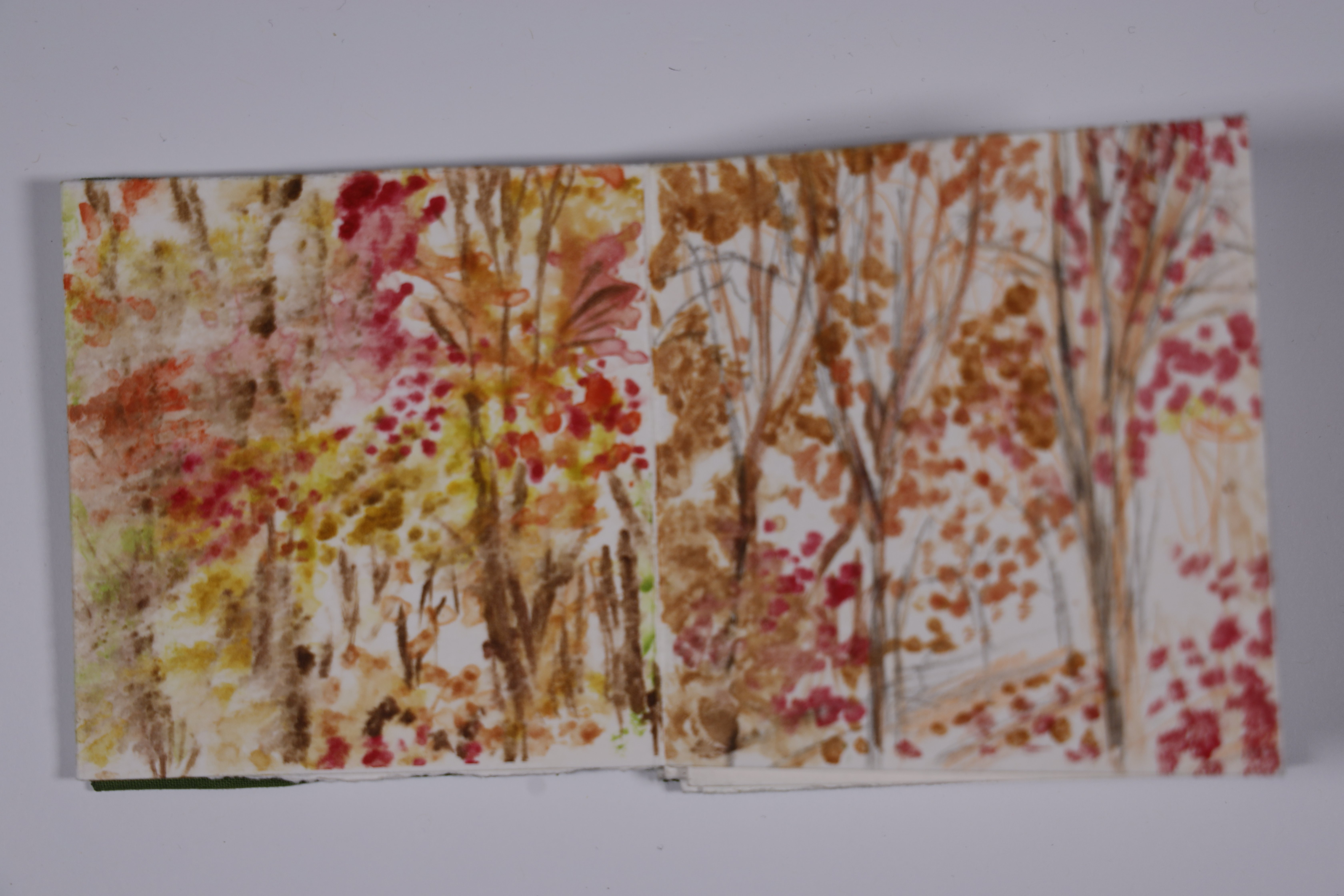 Full autumn accordion