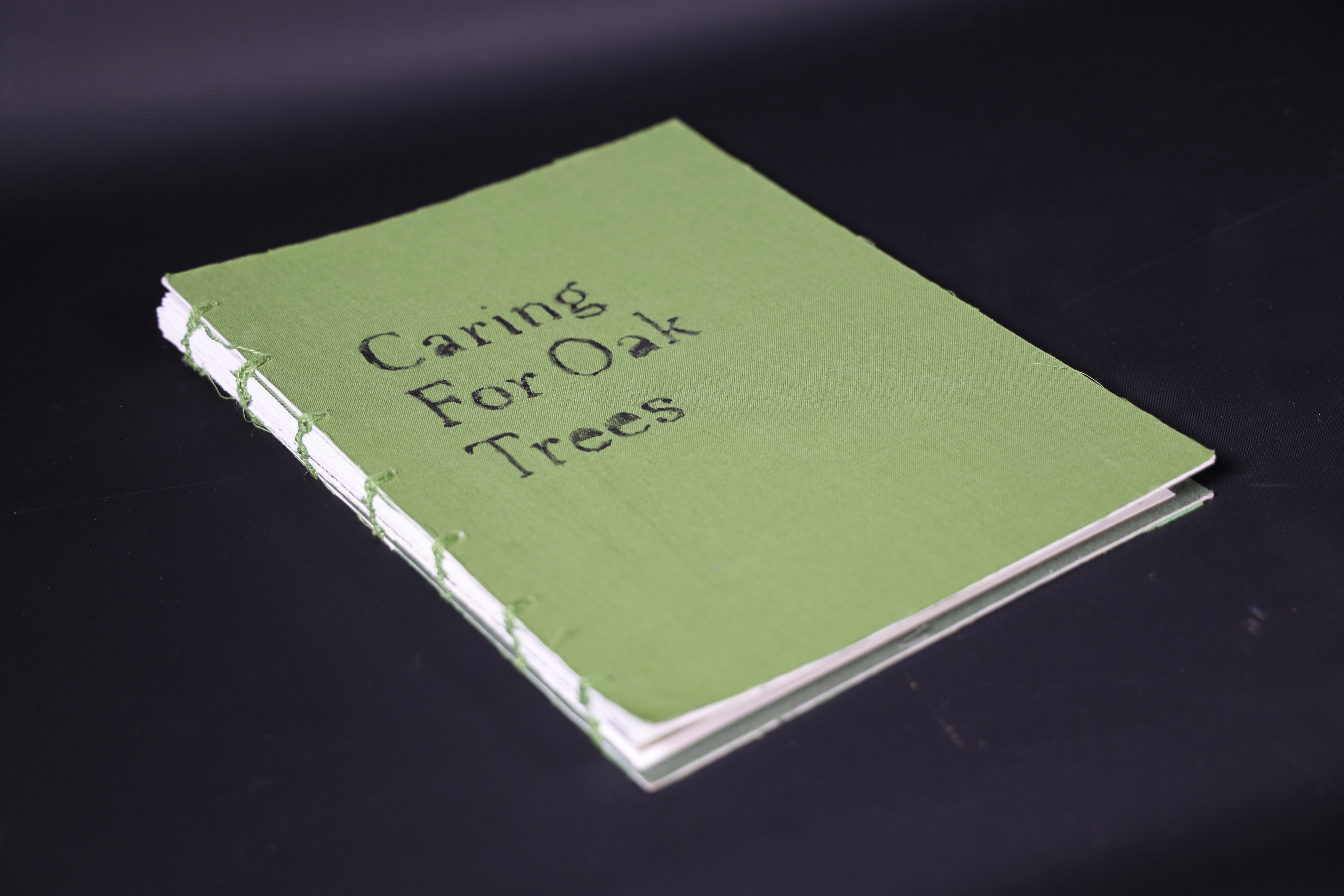 Caring For Oak Trees