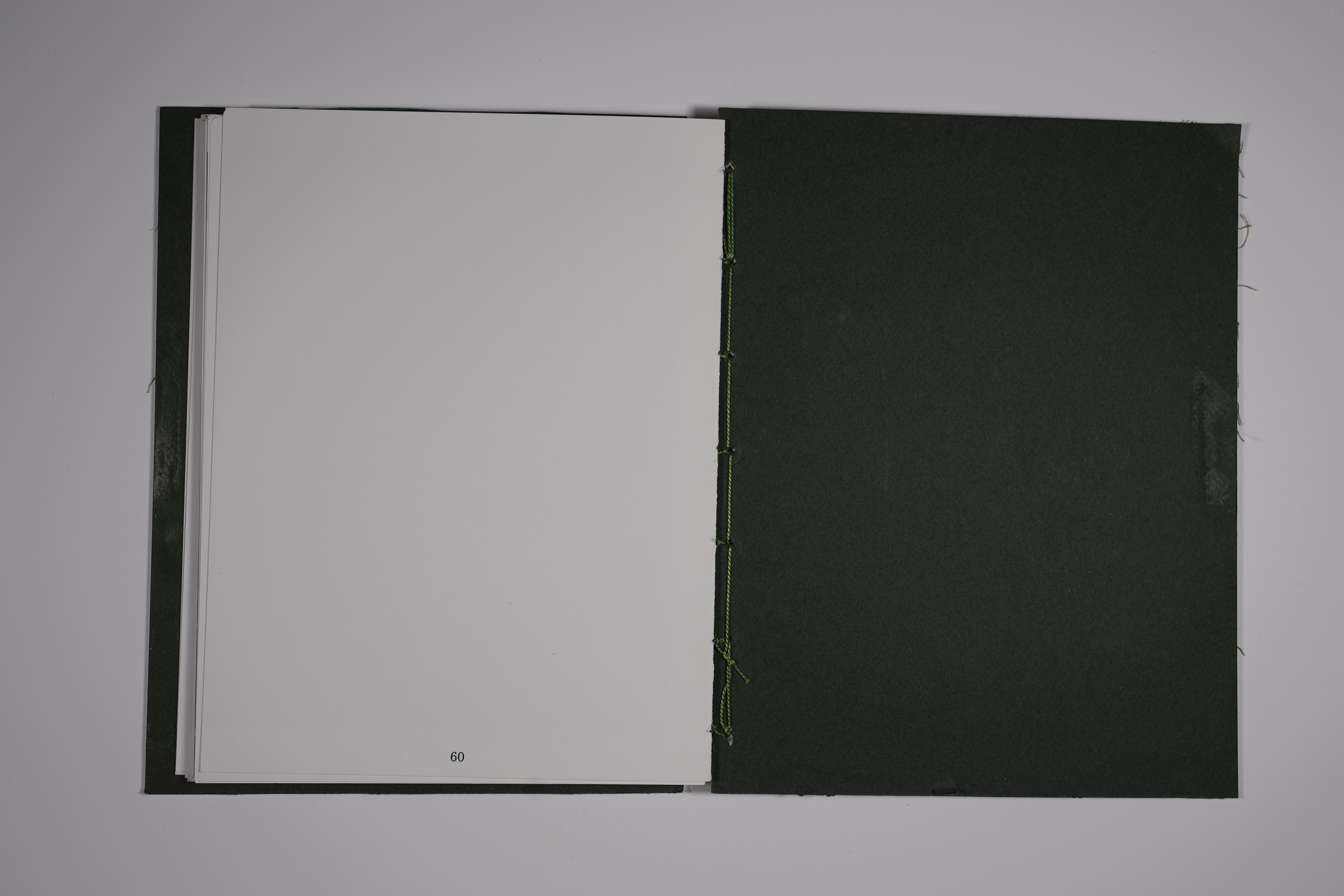 Back cover and pages